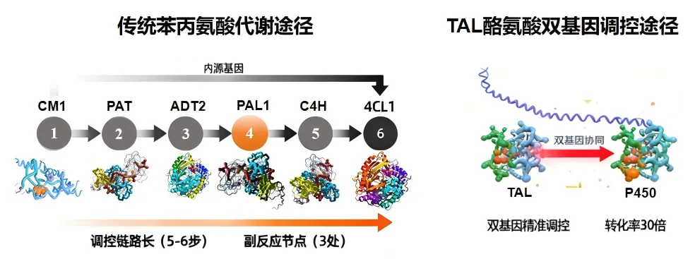 WPS图片(1).png WPS图片(1).png