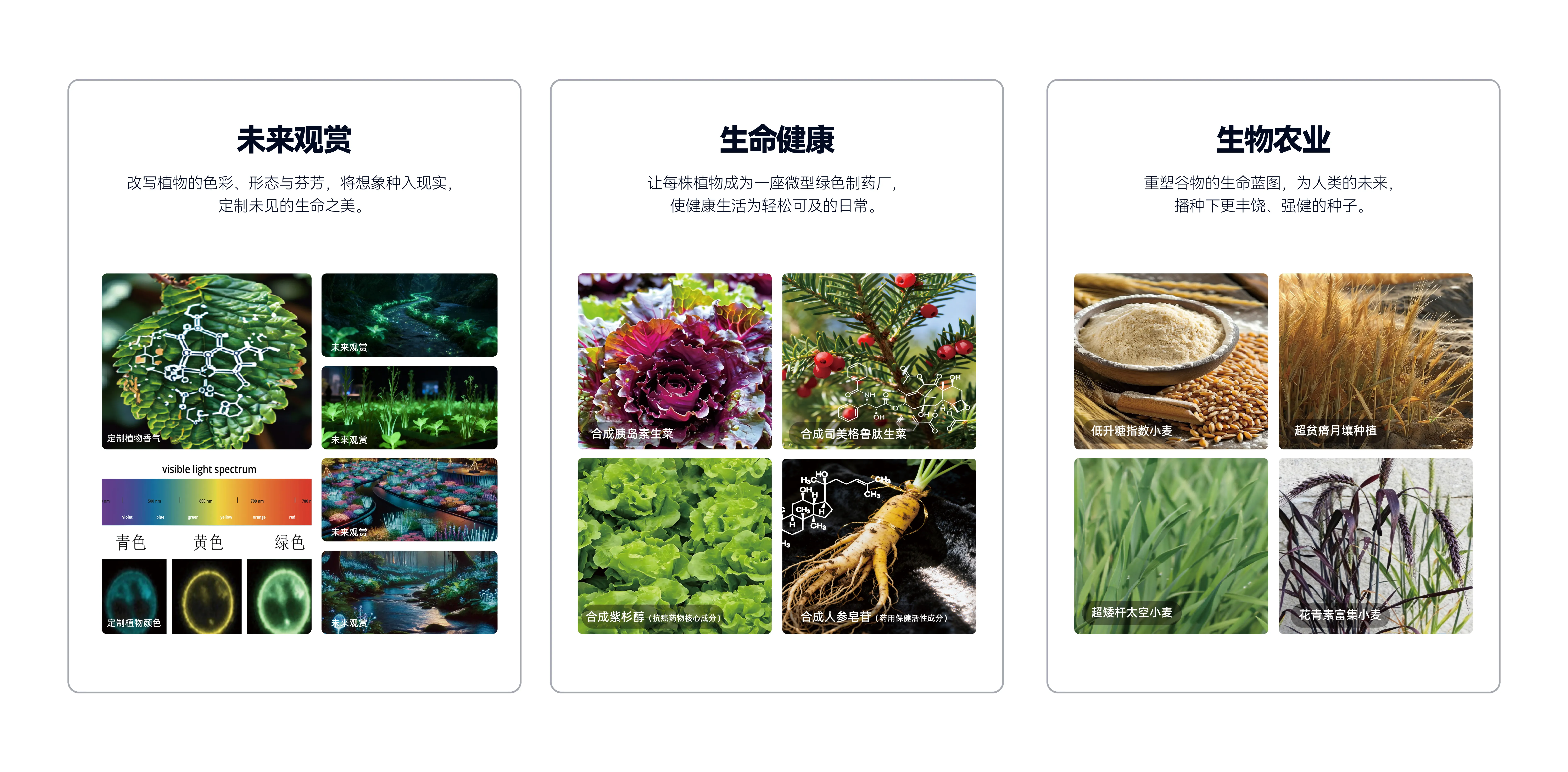 微信图片_20260114113631_392_522.jpg