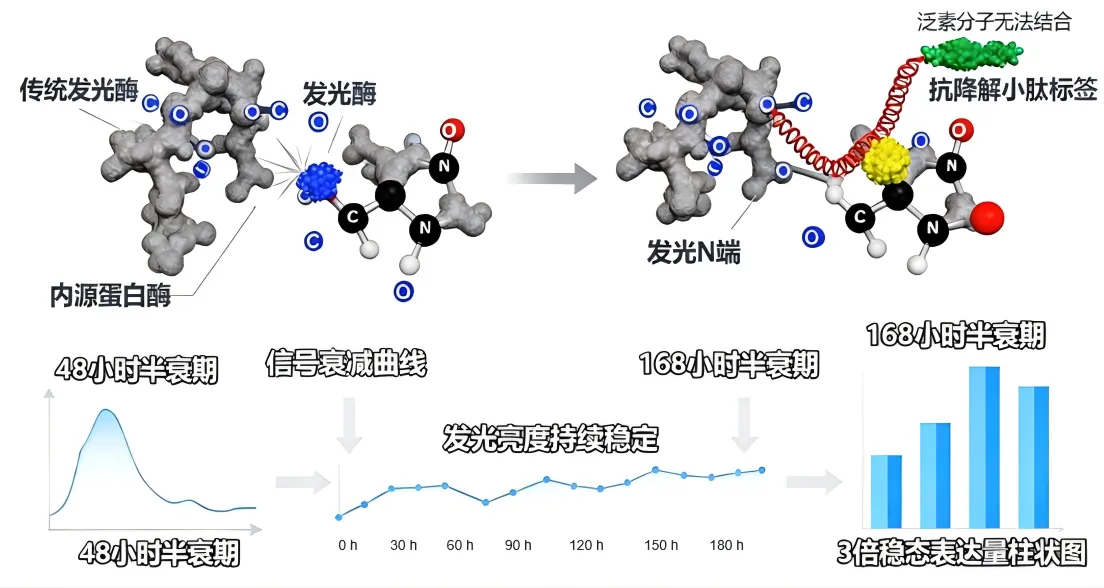 WPS图片(2).png WPS图片(2).png