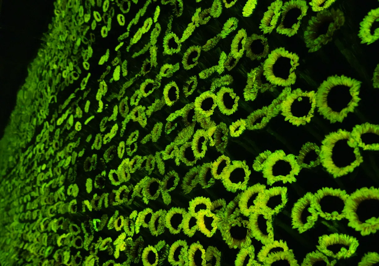 ScreenShot_2026-01-13_092910_597.png