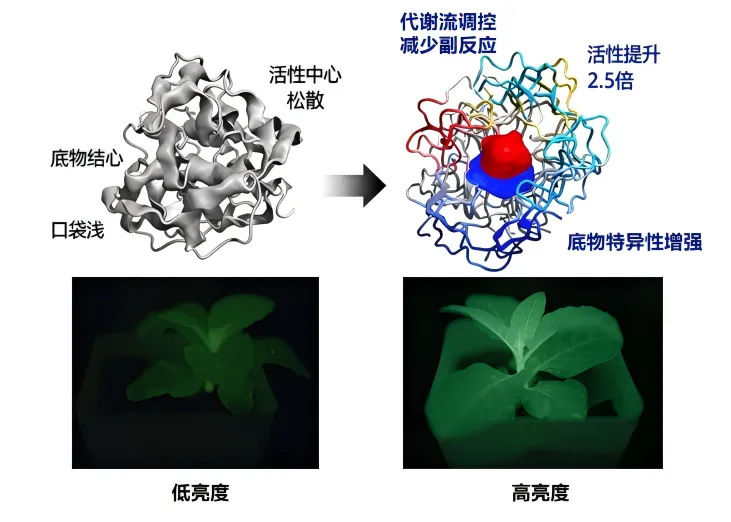 WPS图片(3).png WPS图片(3).png