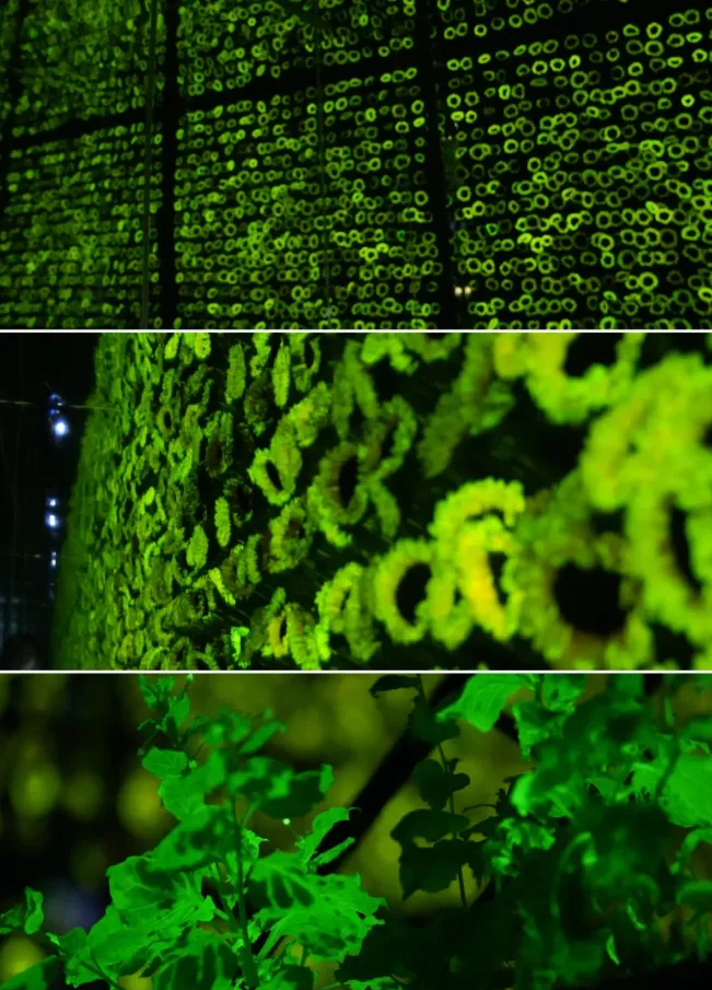 ScreenShot_2026-01-07_160156_235.png ScreenShot_2026-01-07_160156_235.png