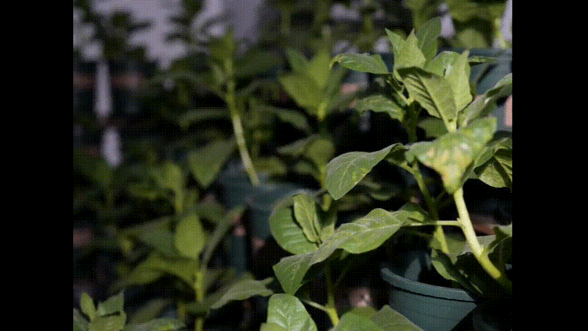 MyVideo_1415.gif MyVideo_1415.gif